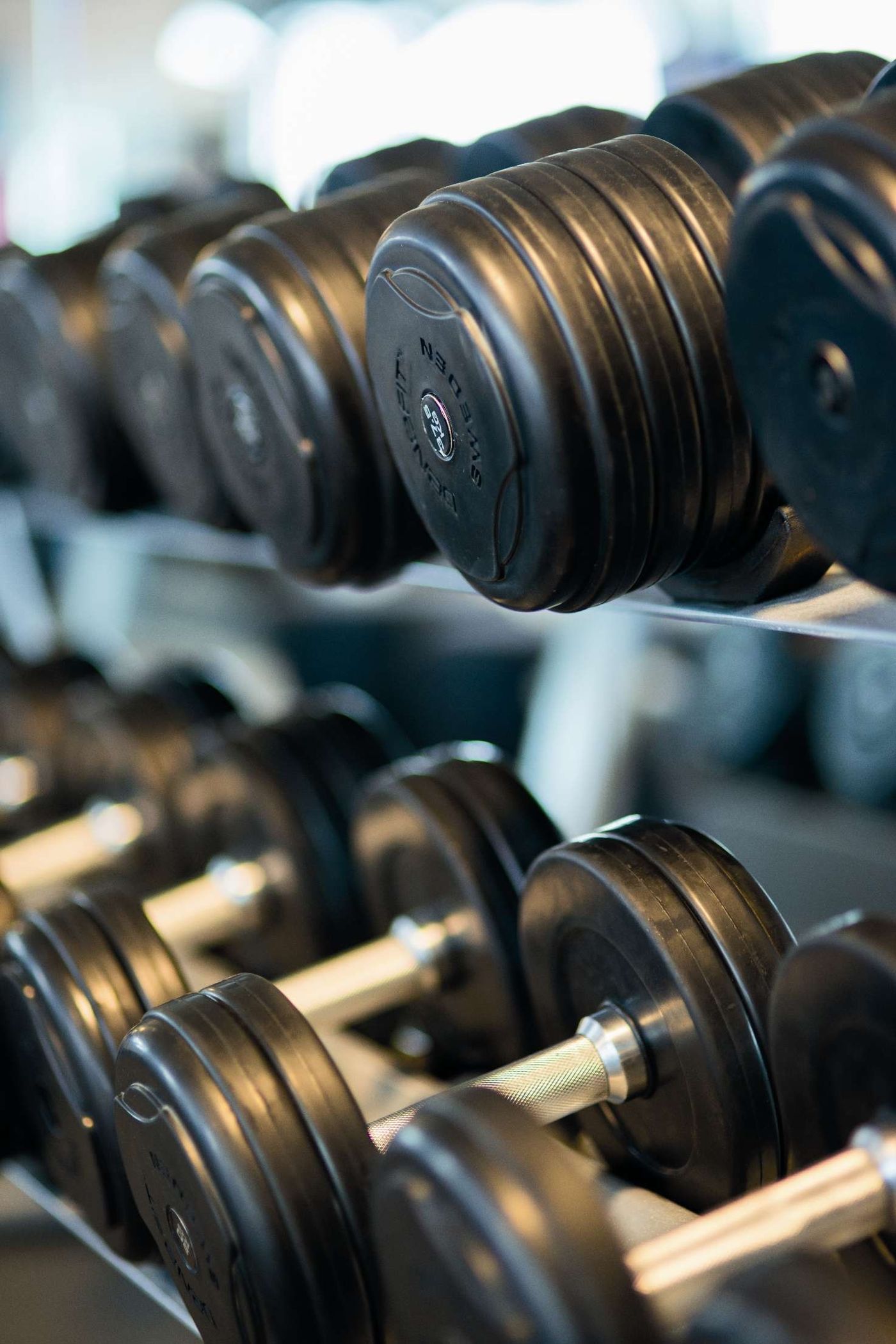Row of dumbbells on a rack in the strength area